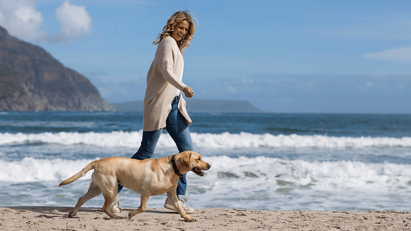 Inkabb kutyat tartsunk mint hogy konditerembe jarjunk 16 9