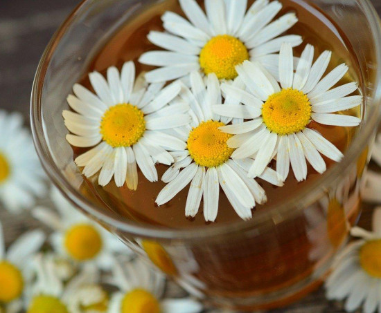  Ezek a legjobb gyulladáscsökkentő gyógynövények!