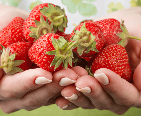  Egzotikus egészség