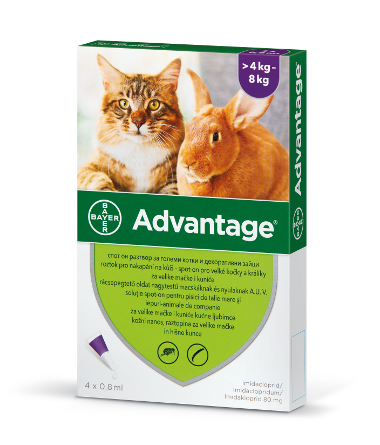 Bolfo bolha, kullancs nyakörv 70cm, nagy